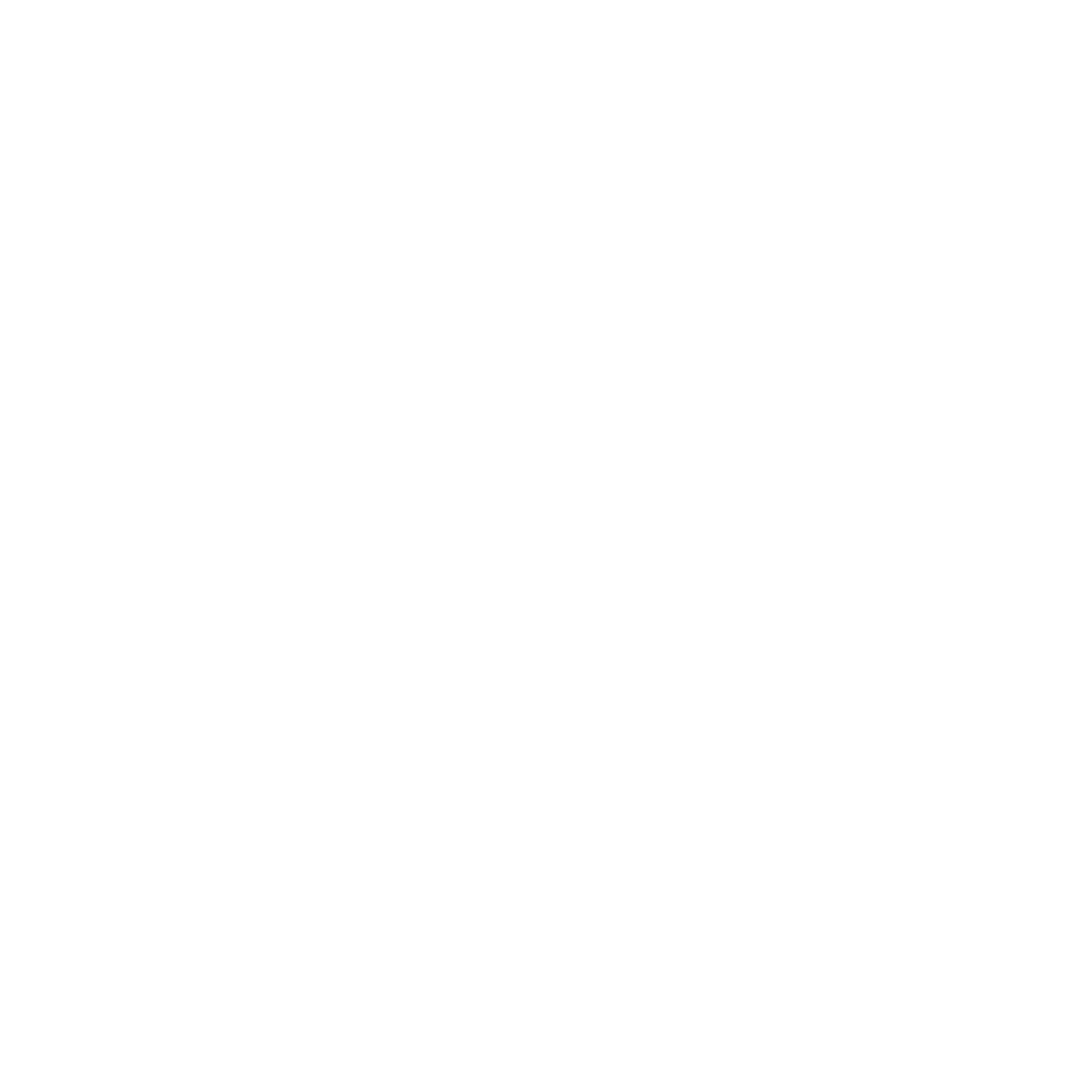 Flash Car Store